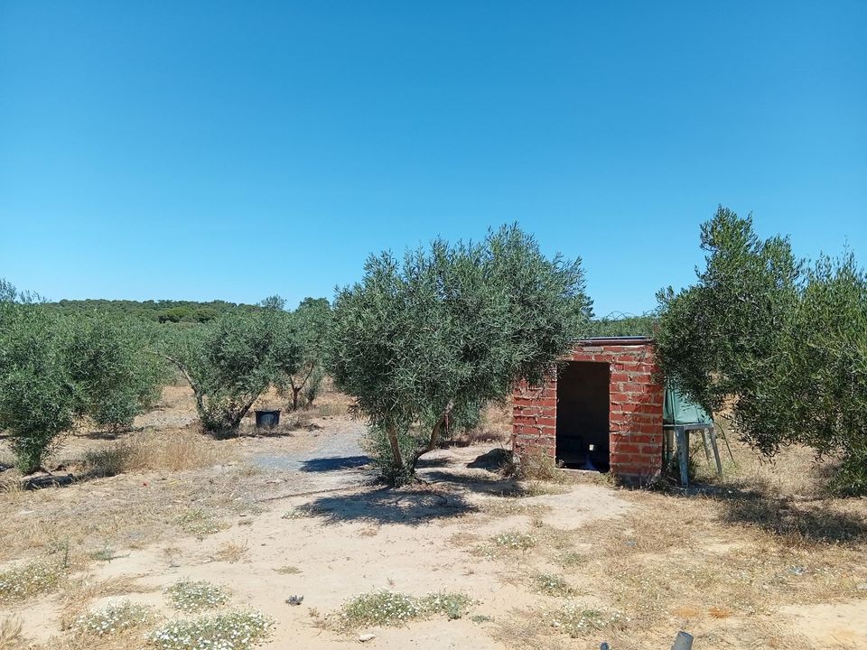 Tomt i Villablanca, Huelva - bilde 4