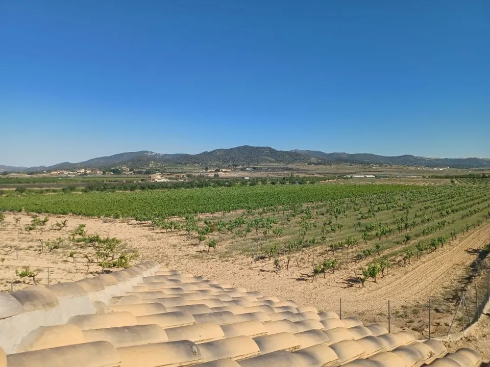 Landejendom i Pinoso, Alicante - foto 2