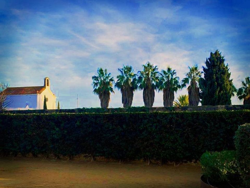 Villa i Calella, Barcelona - foto 4