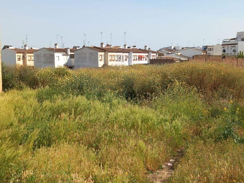 Helårsgrund i Bollullos Par Del Condado, Huelva - foto 2