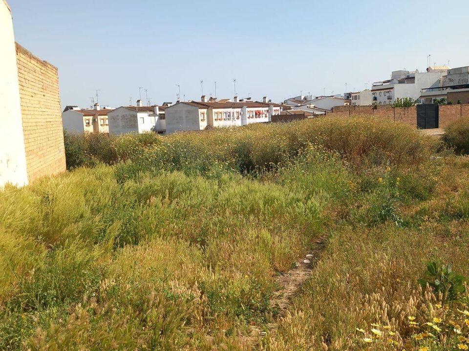 Terra a Bollullos Par Del Condado, Huelva - foto 4