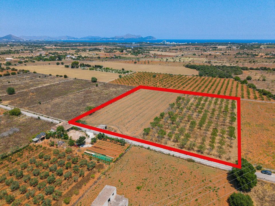 Helårsgrund i Santa Margalida, Mallorca - foto 1