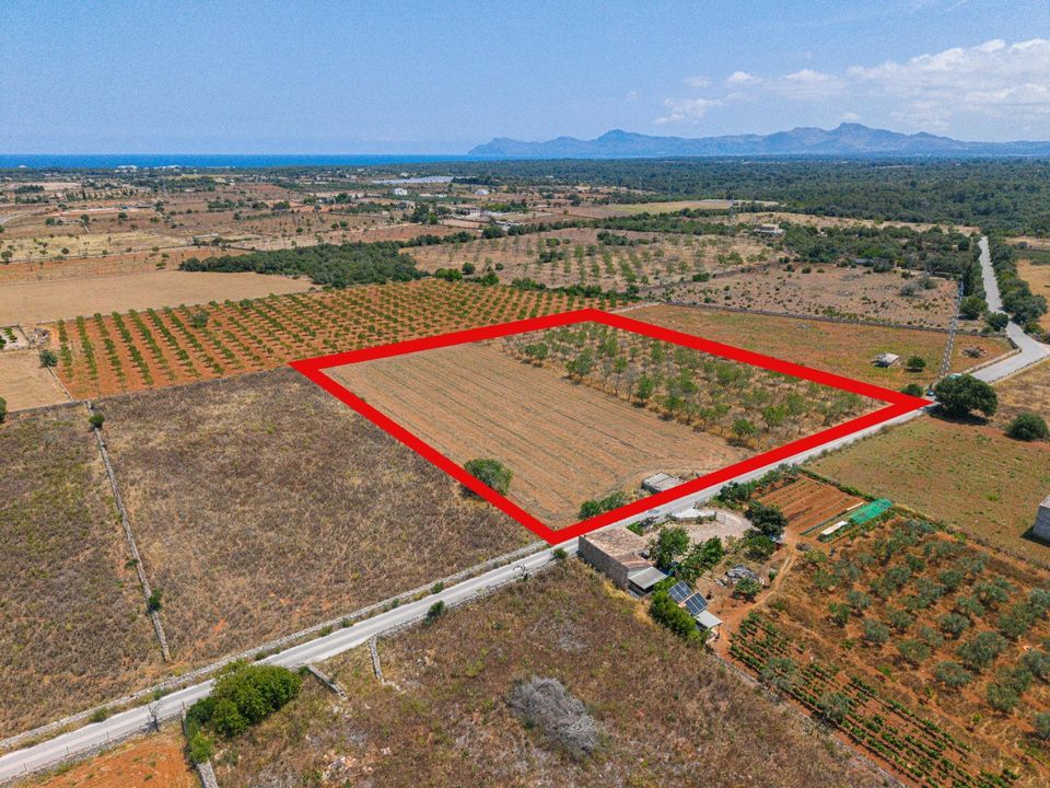 Helårsgrund i Santa Margalida, Mallorca - foto 2