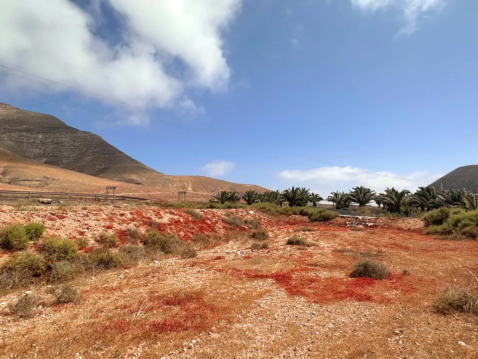 Tomt i Tindaya, Fuerteventura - bilde 2