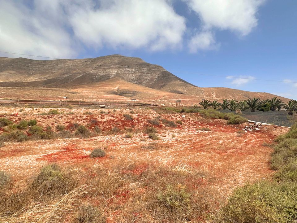 Tomt i Tindaya, Fuerteventura - bilde 3