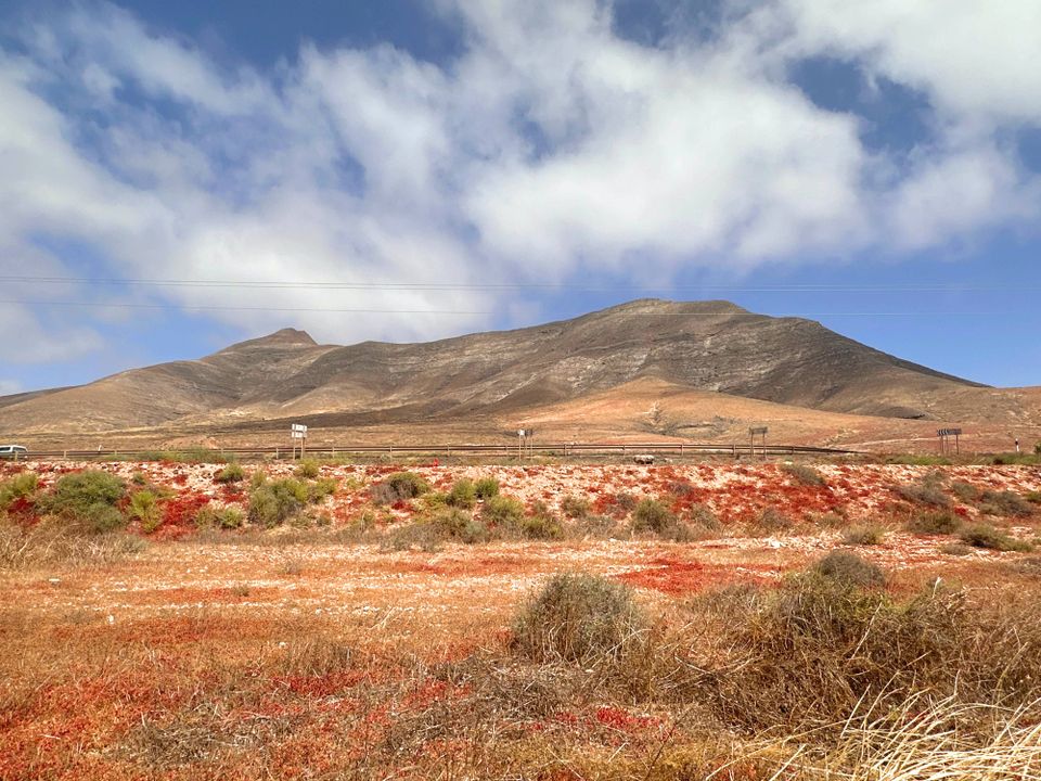 Tomt i Tindaya, Fuerteventura - bilde 4
