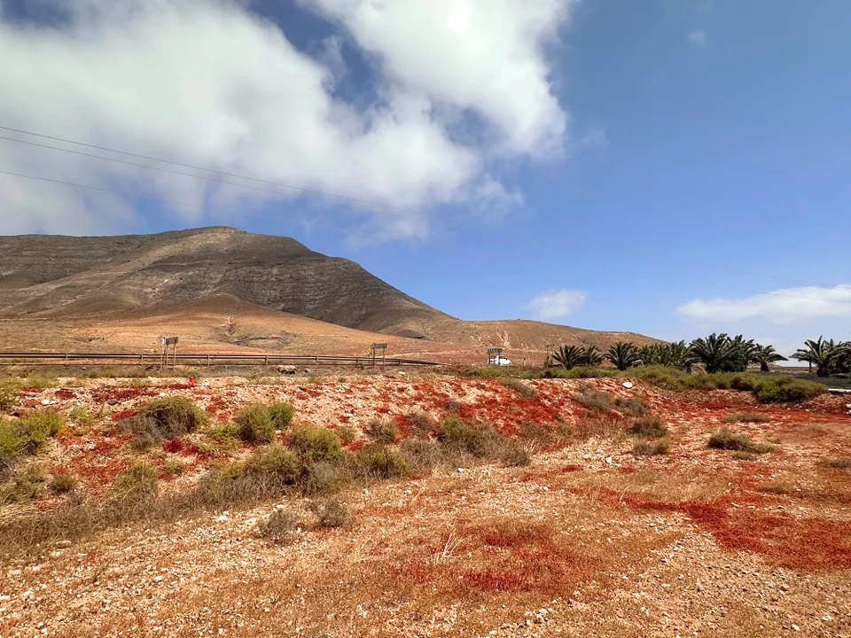 Tomt i Tindaya, Fuerteventura - bilde 5