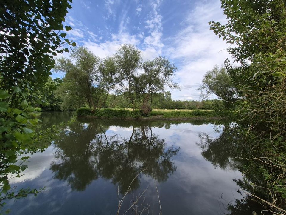 Helårsgrund i Champagne, Sarthe - foto 1