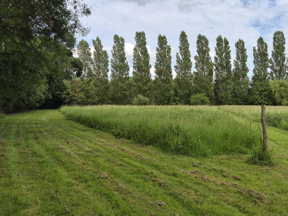 Helårsgrund i Champagne, Sarthe - foto 3