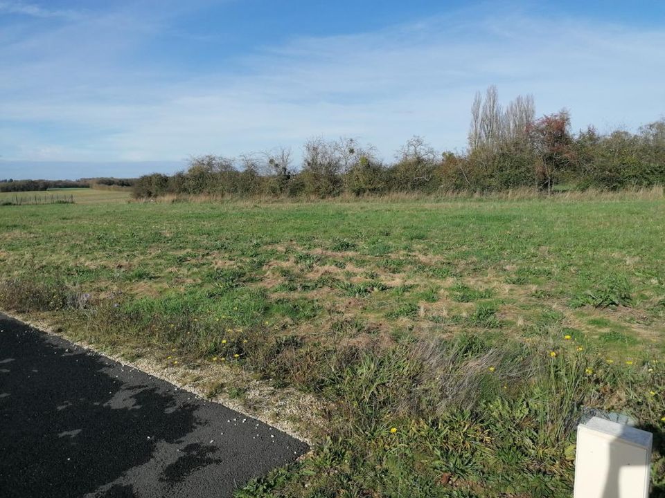 Tomt i Sèvres-Anxaumont, Vienne - bilde 1