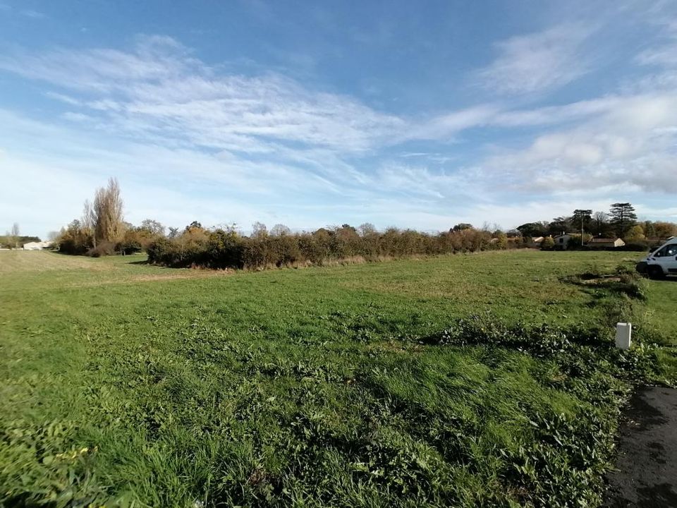 Tomt i Sèvres-Anxaumont, Vienne - bilde 2
