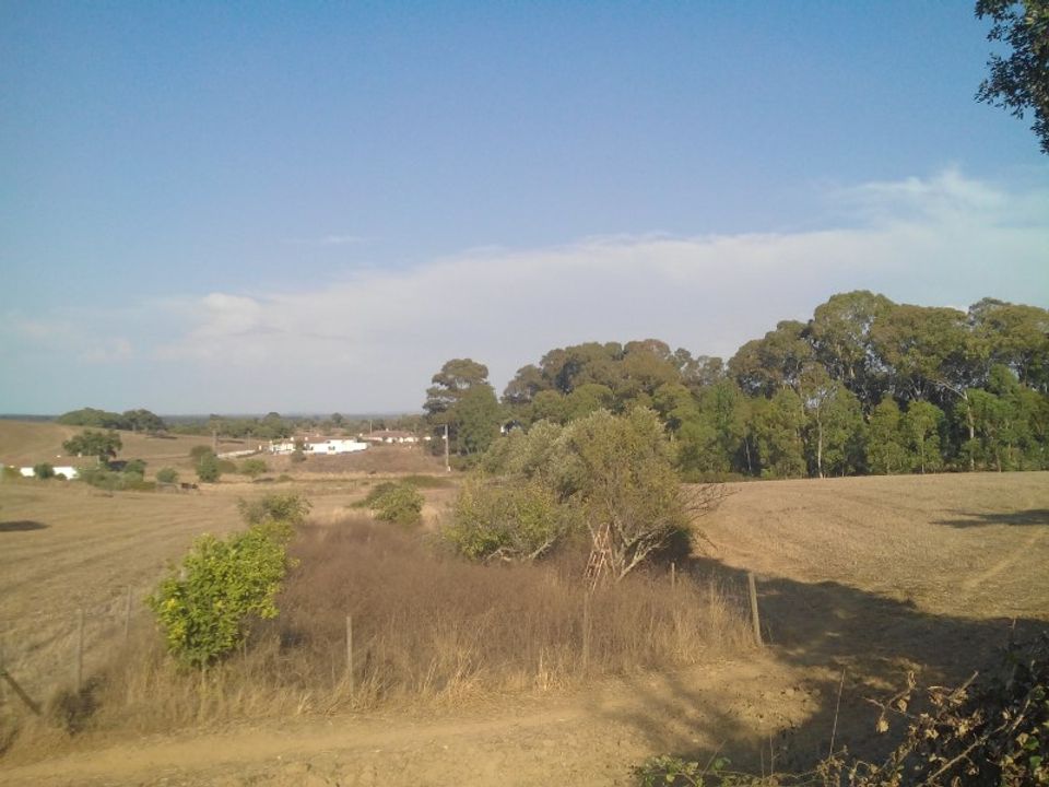 Farm hus i Cercal do Alentejo, Setubal - foto 3