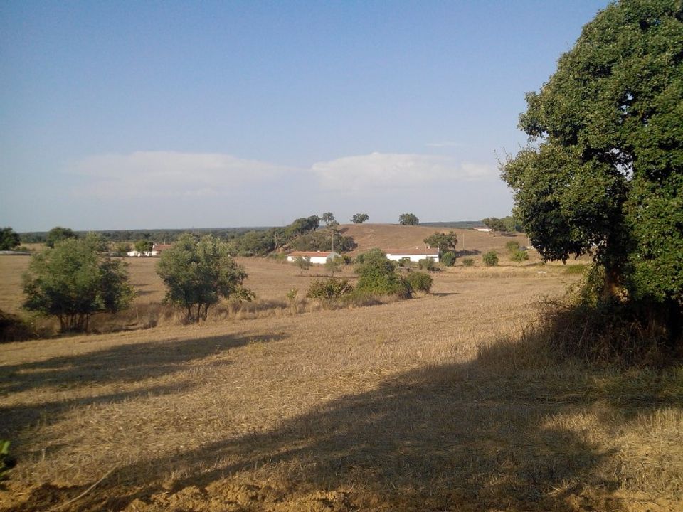 Farm hus i Cercal do Alentejo, Setubal - foto 5