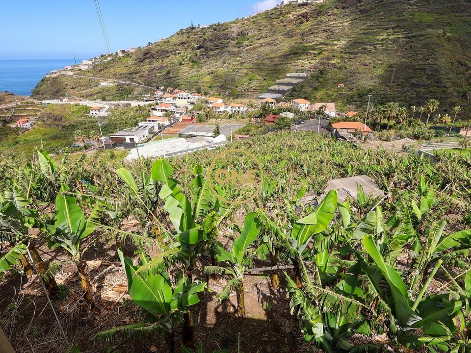 Helårsgrund i Ribeira Brava, Madeira - foto 3