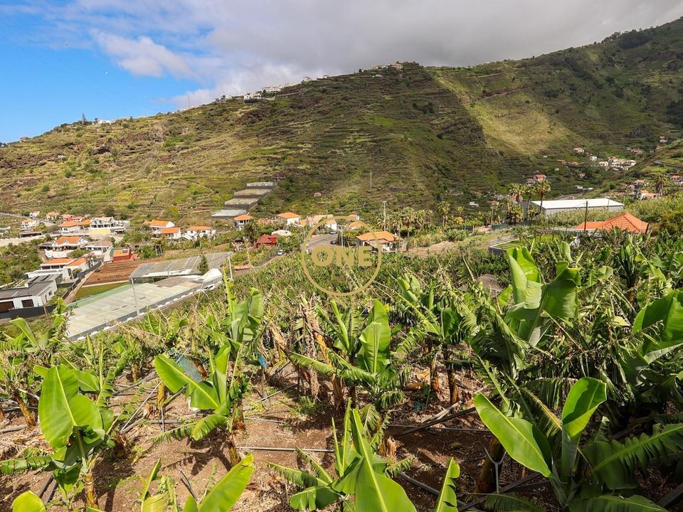 Helårsgrund i Ribeira Brava, Madeira - foto 5