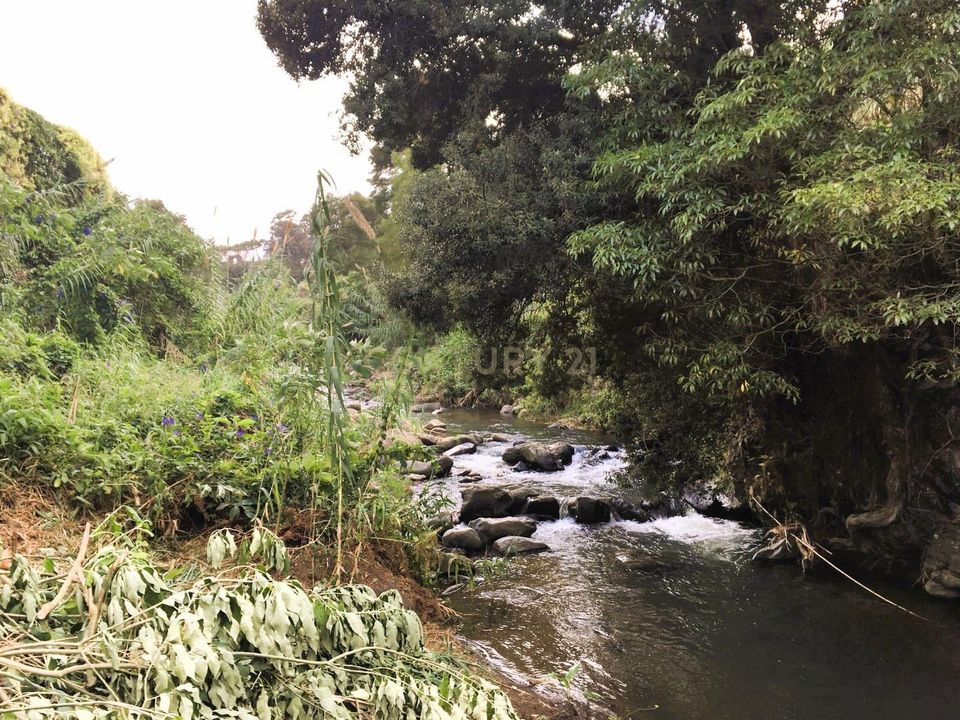 Villa i Ribeira Grande, Sao Miguel - foto 5