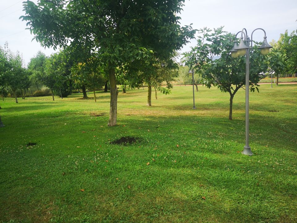 Villa i Castelnuovo Magra, La Spezia - foto 2