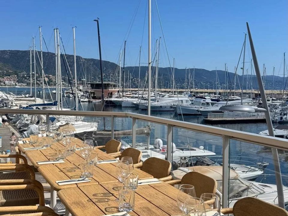 Erhvervsejendom i Bormes-les-Mimosas, Var - foto 2