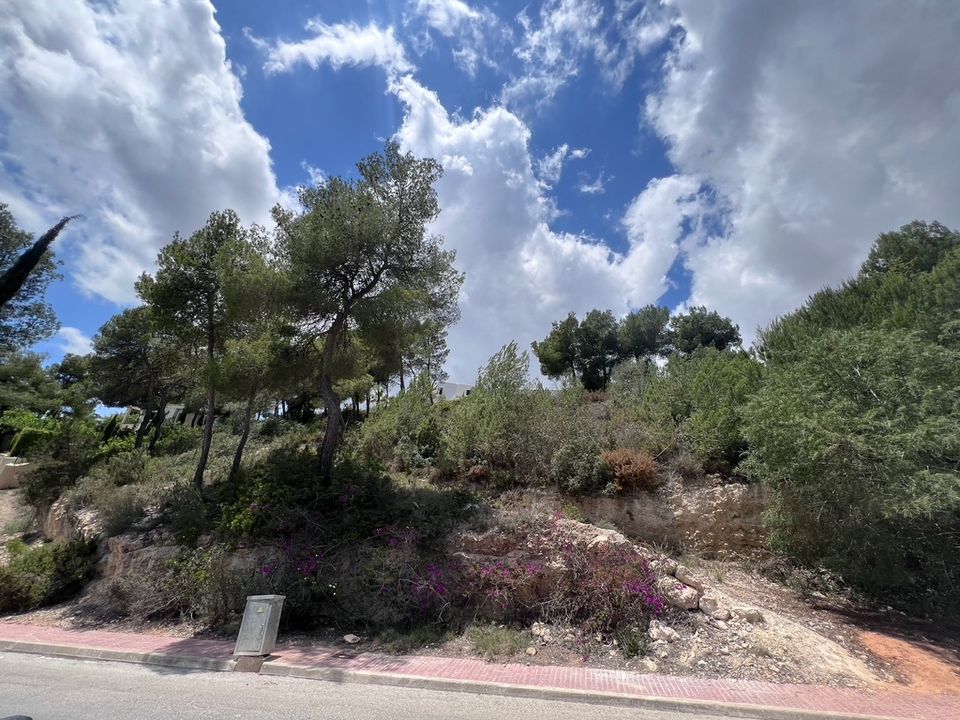 Helårsgrund i Jesus, Ibiza - foto 5