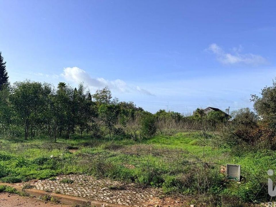 Helårsgrund i Silves, Faro - foto 3