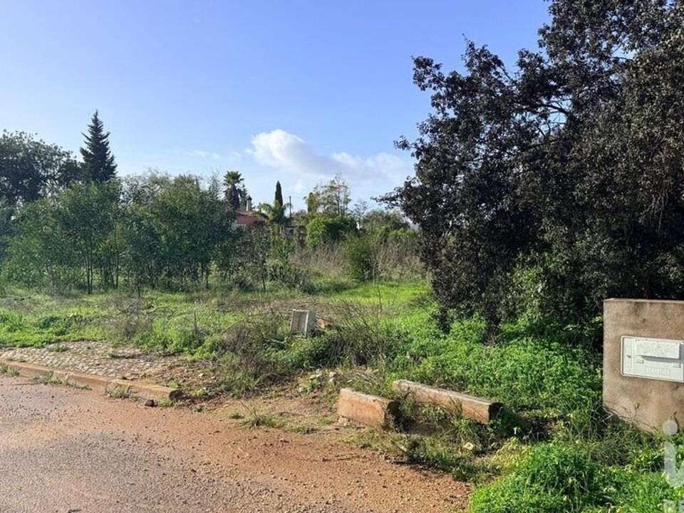 Helårsgrund i Silves, Faro - foto 4