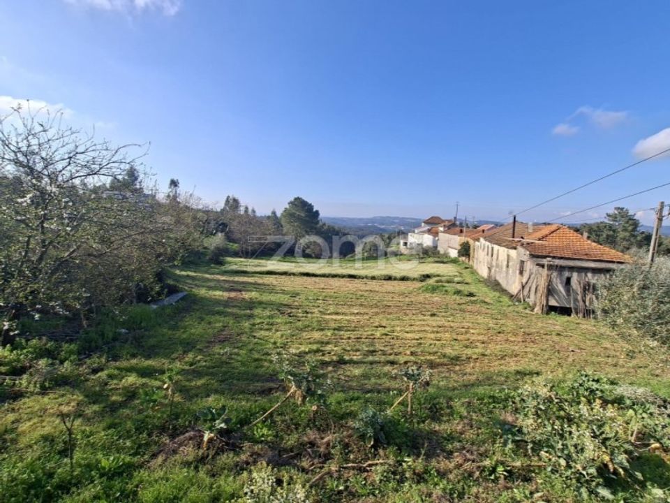 Farm i Arganil, Coimbra - foto 3