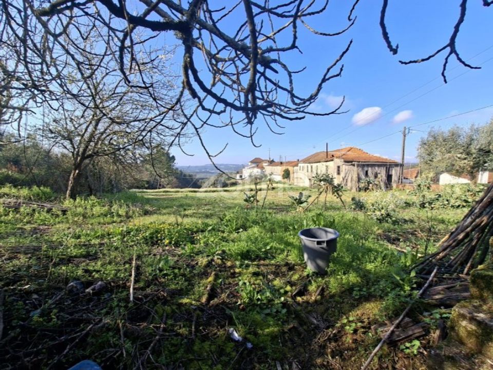 Farm i Arganil, Coimbra - foto 4