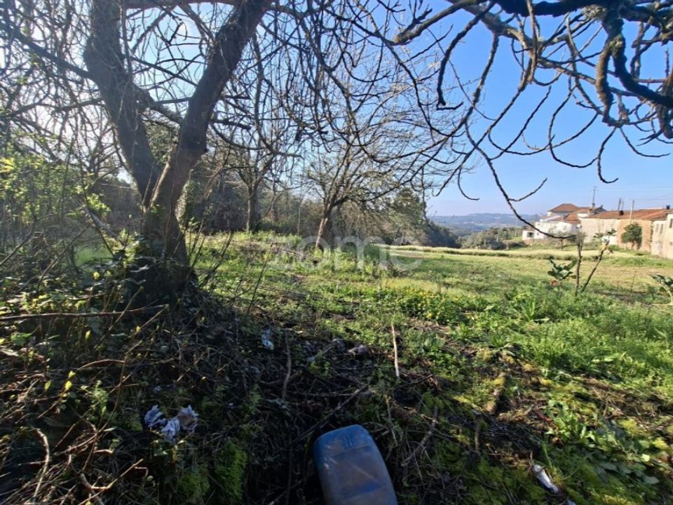 Farm i Arganil, Coimbra - foto 5