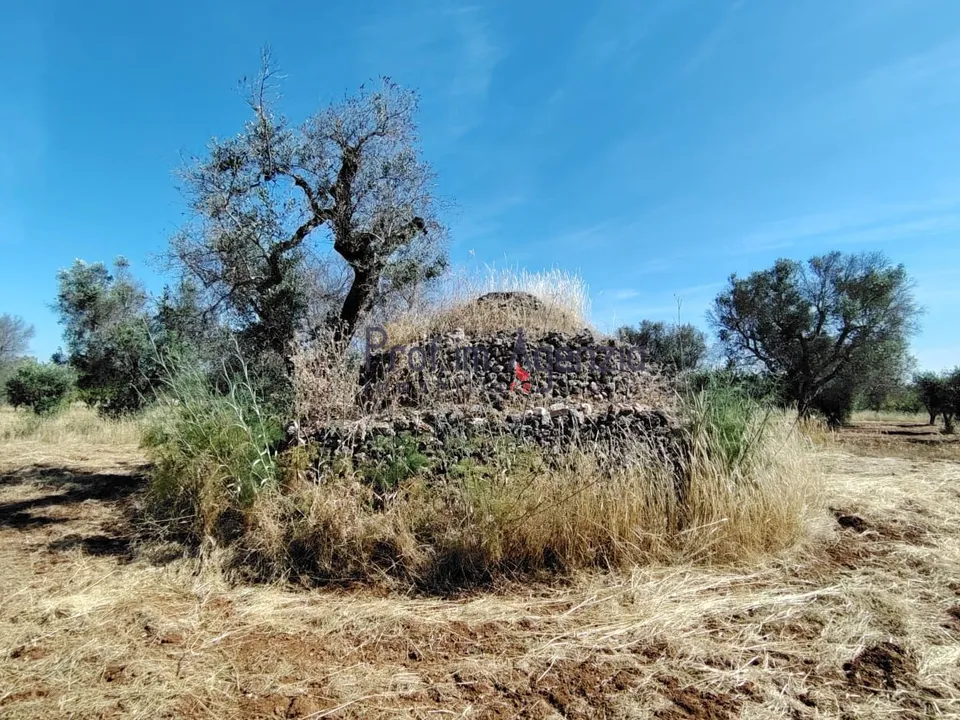 Landejendom i Carovigno, Brindisi - foto 2