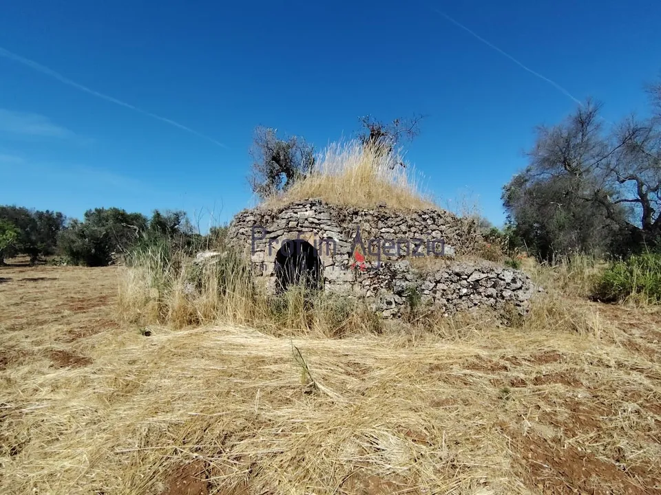 Landejendom i Carovigno, Brindisi - foto 1