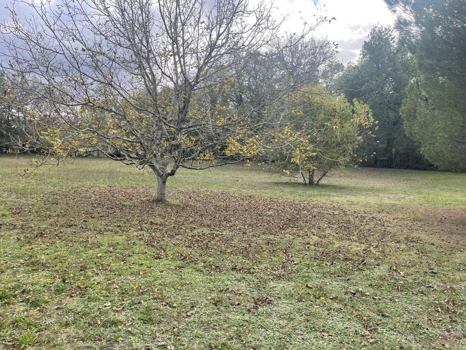 Tomt i Gratentour, Haute-Garonne - bilde 4