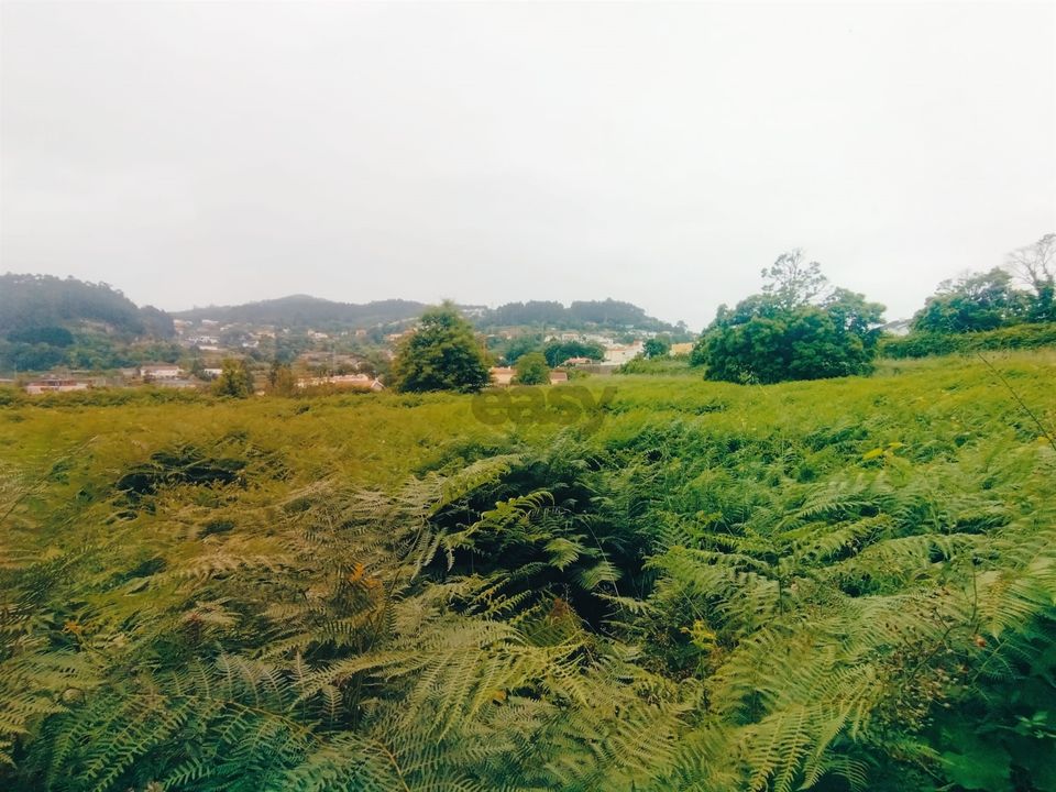 Helårsgrund i Caminha, Viana do Castelo - foto 5