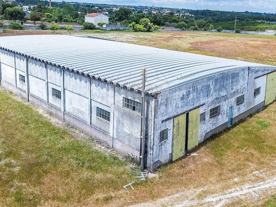 Farm i Pontevel, Santarem - foto 3