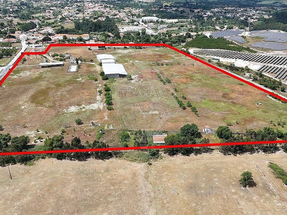 Farm i Pontevel, Santarem - foto 4