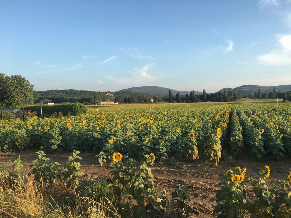 Lejlighed i Sauzet, Drome - foto 3