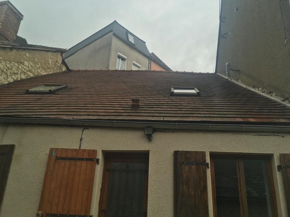Villa i Saint-Florentin, Yonne - foto 2