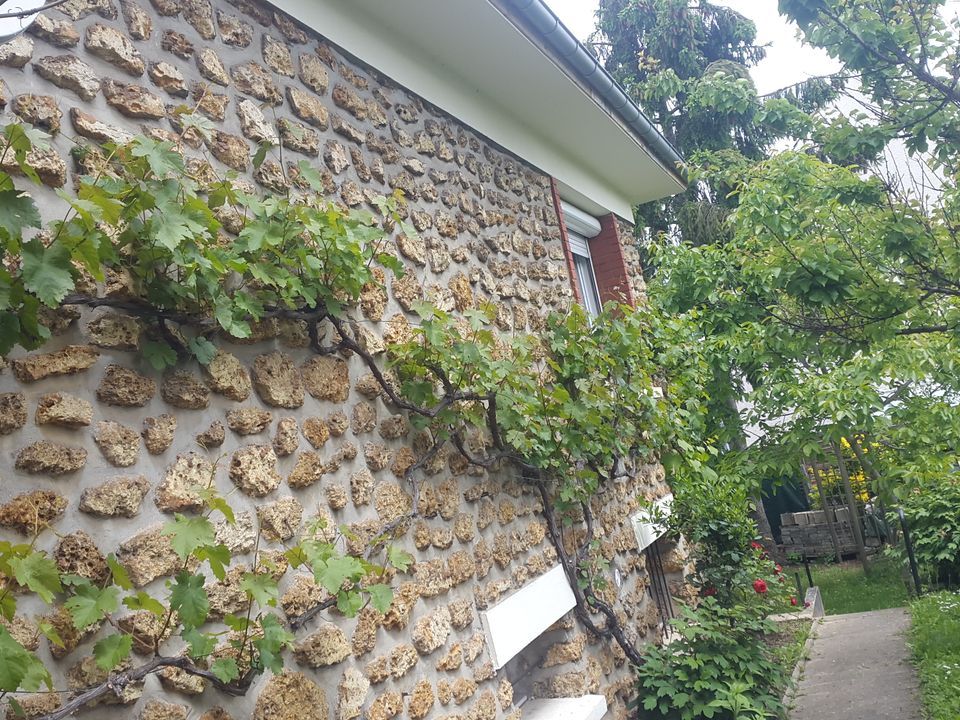 Studio i Ris-Orangis, Essonne - foto 2
