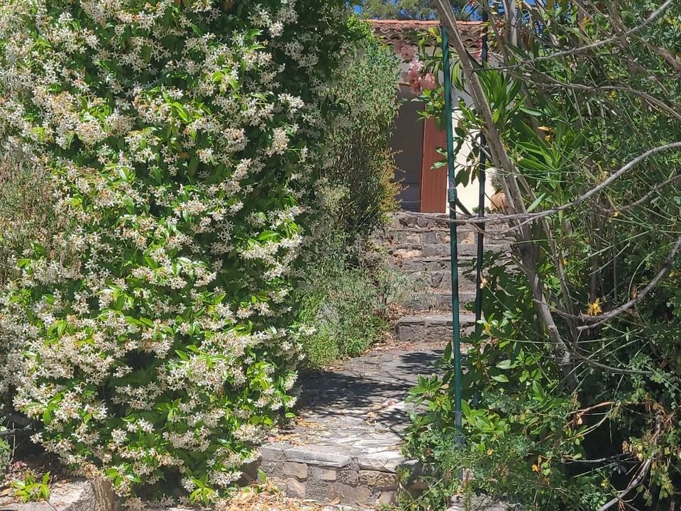 Villa i Tourrettes, Var - foto 4