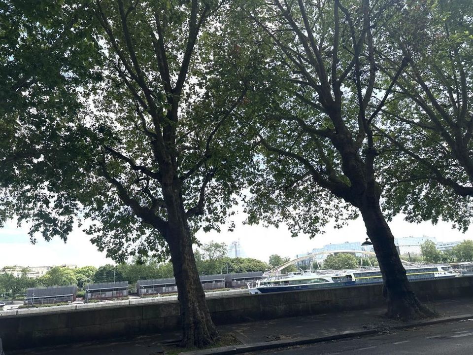 Leilighet i Paris, Paris - bilde 2