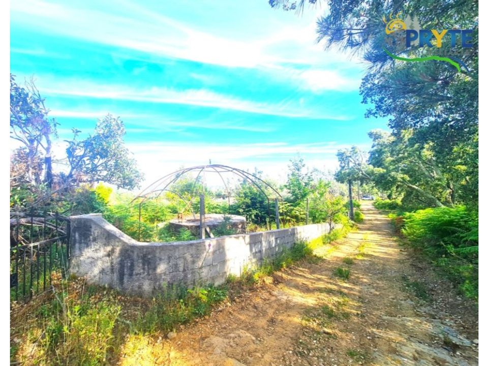 Farm i Serta, Castelo Branco - foto 1
