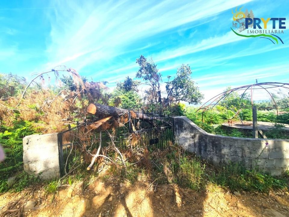 Farm i Serta, Castelo Branco - foto 2