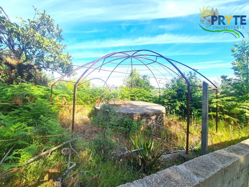 Farm i Serta, Castelo Branco - foto 3