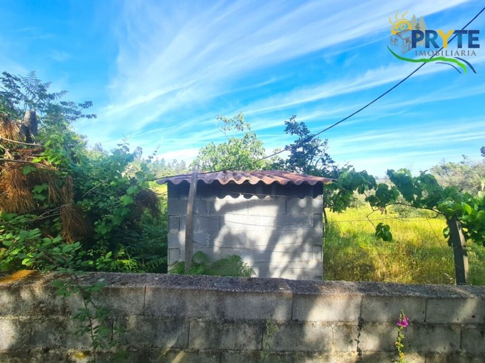 Farm i Serta, Castelo Branco - foto 4