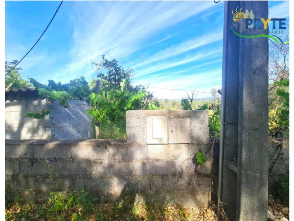 Farm i Serta, Castelo Branco - foto 5