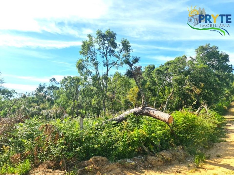 Farm i Serta, Castelo Branco - foto 2