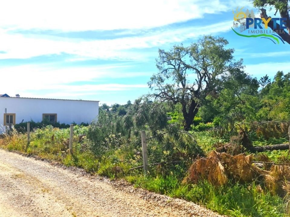 Farm i Serta, Castelo Branco - foto 3