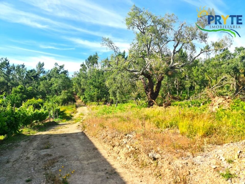 Farm i Serta, Castelo Branco - foto 5