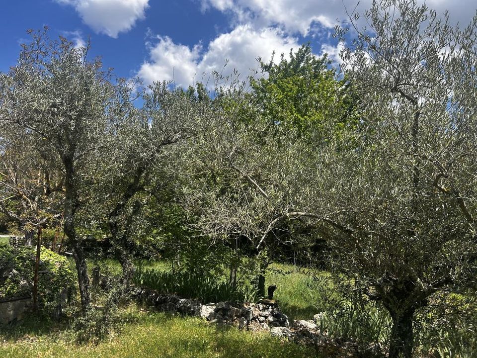 Villa a Saint-Maximin-la-Sainte-Baume, Var - foto 4
