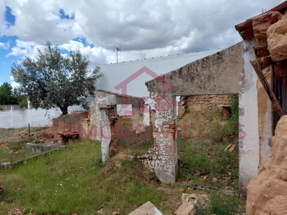 Landejendom i Carregueira, Santarem - foto 4