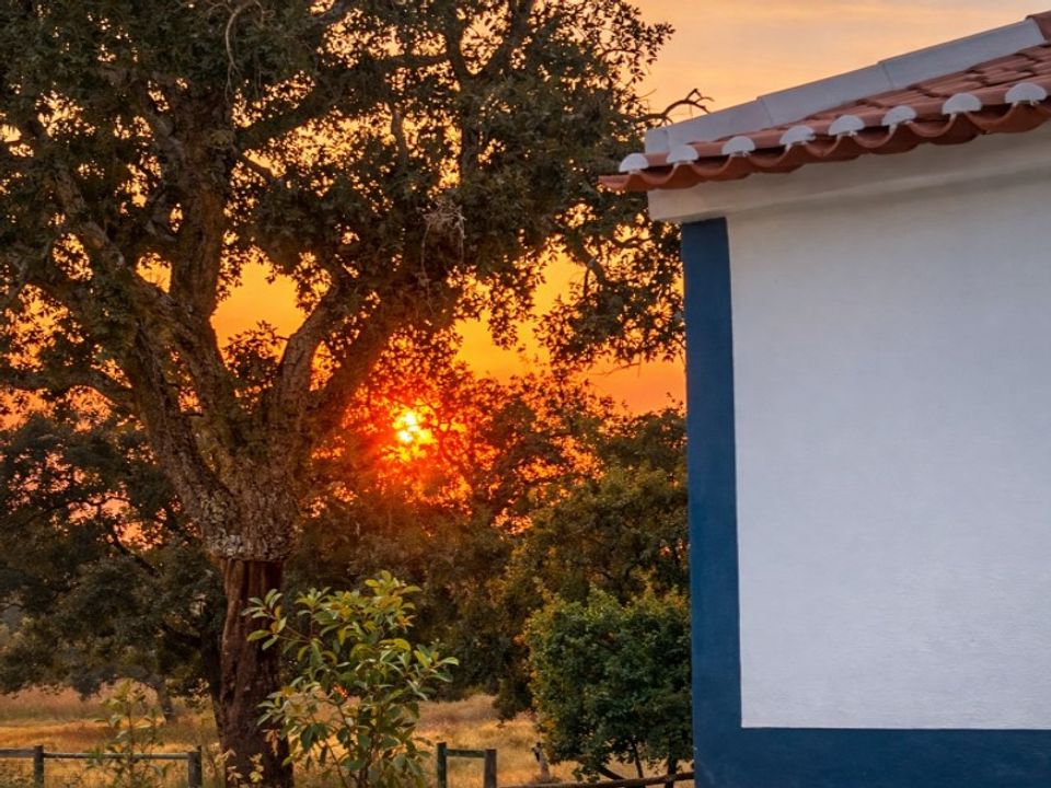Landejendom i Almeirim, Santarem - foto 5